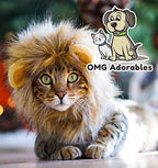 Lion Mane Costume for Cats - Image 5