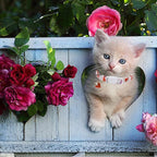 Lionet Paws 2pcs Pack Valentine's Day Cotton Cat Collar - Image 5