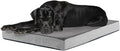 Barkbox Orthopedic Dog Bed by BARK