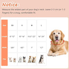 Dog Collar for Extra Small Dogs, Spring &Summer Theme Orange Small Dog Collars - Image 2