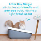 Cat Deodorizer Jar Fresh Scent - Image 2