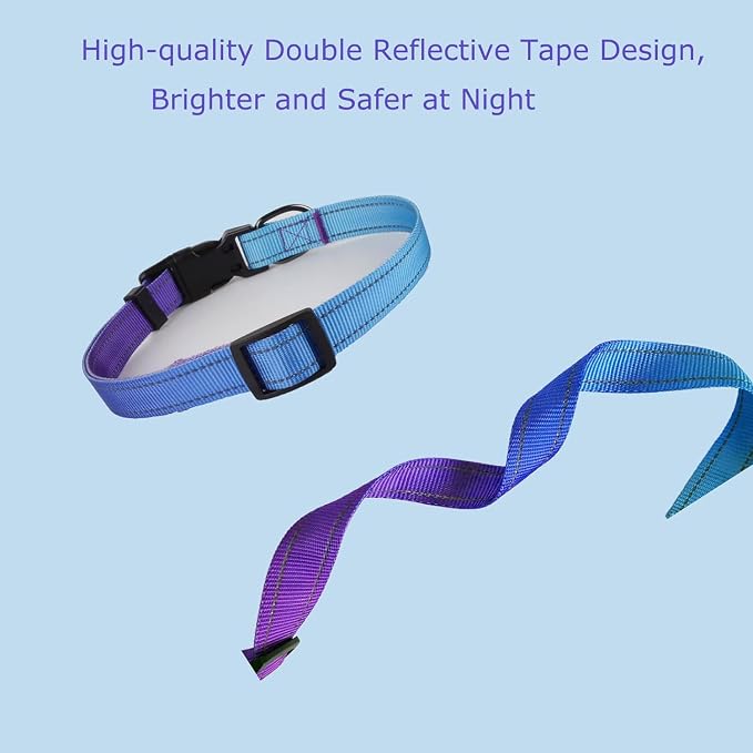 Roses&Poetry Reflective Dog Collar - Image 8