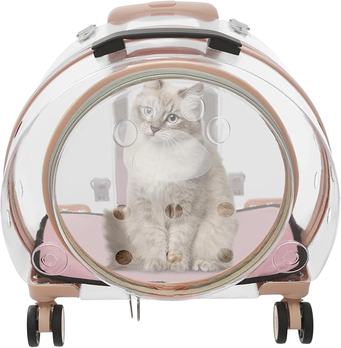 Transparent & Fully Breathable Hard Cat Carrier by CeRaBuRET