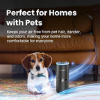 Lab Charge Small Ionic Air Purifier - Image 3