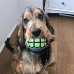 Dog Balls Toys Squeaky Fetch - Image 5