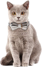 Faleela Breakaway Cat Collar - Image 5