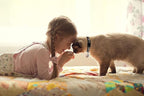 2PCS Breakaway Cat Collars - Image 7