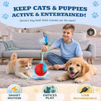 GlowPounce Interactive Rolling Ball Toy - Image 2