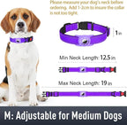 Airtag Dog Collar with AirTag Holder - Image 6