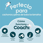 Company of Animals Coachi Target Stick, Telescopic Design - Image 3