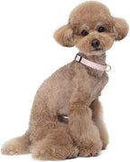 Reflective Dog Collar for Small Dogs, Cute Daisy Theme Adjustable Heavy-Duty - Image 2