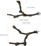 Allazone 4-Piece Bird Perch - Image 5