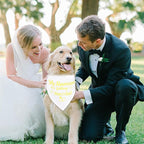 SZEE Wedding Decorations for Pets, 2 Pack My Humans are Getting Married Dog - Image 7
