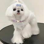 Cotton Floral Dog Collar, Adjustable Puppy Dog Collars - Image 7