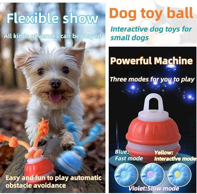 Interactive Dog Toys, Squeaky Dog Toys, Active Rolling Ball - Image 5