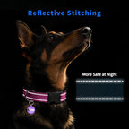 Reflective Dog Collar for Large Dogs - Image 3