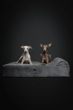 NOAH & PAW Large Dog Bed, Orthopedic Dog Beds, Eggshell Memory Foam Infused - Image 7