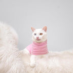 EXPAWLORER Soft Cat Sweater - Image 6
