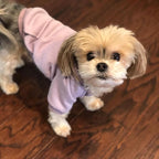 Jecikelon Winter Dog Hoodie Sweatshirts - Image 2