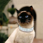Cat Collars, Rhinestone for Girl Cats Bling Kitten Flower Adjustable Breakaway - Image 6