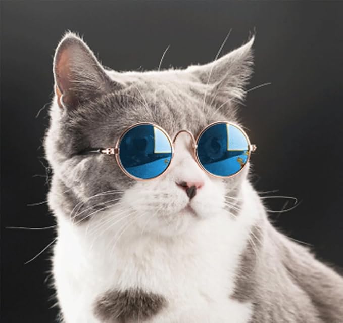 8 Pieces Pets Dog Cat Bowtie Pet Sunglasses Pet Costume Adjustable Formal - Image 2
