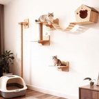 Cat Wall Shelves, DIY Wall-Mounted Cat Furniture Set - Image 3