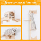 Cat Shelves for Wall – Cat Climbing Furniture Set for Large Cats - Image 3