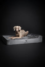 NOAH & PAW XL Dog Bed, Orthopedic Large Dog Beds, Eggshell Memory Foam Infused - Image 6