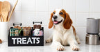Morezi Dog Food Organizers Storage cat Treat jar Organizer Great - Image 6