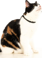 3 Pack Breakaway Cat Collar - Image 9