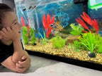 Aquarium Stone for Natural Water Clarification and Odor Removal Featuring - Image 8