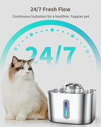 Cat Water Fountain Stainless Steel - Image 4