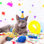 BINGPET Cat Birthday Catnip Toys - Image 7