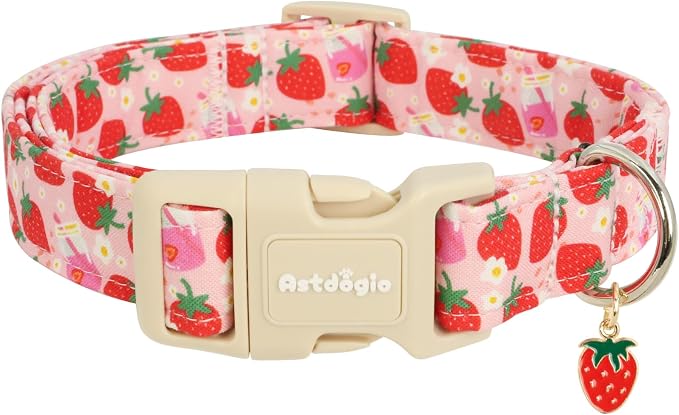 Pink Dog Collar for Small Dogs, Cute Dog Collars Girl Puppy Collar by Unknown