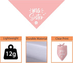 Big Sister Dog Bandana Pregnancy Announcement Gender Reveal Baby Announcement - Image 3
