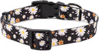 QQPETS Adjustable Soft Dog Collar: Print Flower Pink Multicolor Cute Patterns - Image 6