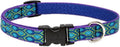 Lupine Small Dog Collar 3/4" Wide Rain Song Adjusts from 9" to 14" by LupinePet