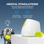 ALL FOR PAWS Automatic Ball Launcher for Dogs Interactive Puppy Pet Ball - Image 3