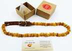 Baltic Amber Dog & Cat Collar - Image 9