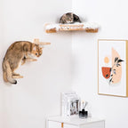 Cat Shelves - 3-Step Wall Climbing Set - Image 5