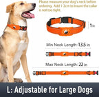 Airtag Dog Collar with AirTag Holder - Image 6