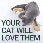 Skywin Cat Wall Steps - Image 2