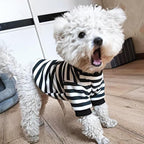 Autumn Dog Sweater with Leash Ring Warm Striped Puppy Shirt - Image 2