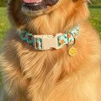 Dog Collar, Spring Summer Dog Collar - Image 4