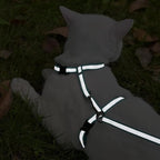 KOOLTAIL Cat Harness and Leash Set, Escape Proof Adjustable Kitten Harness - Image 6