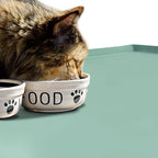 Dog Food Mat, Silicone Waterproof Food Tray, Non Slip Pet Bowl Mats Placemat - Image 6