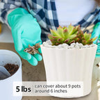 5LB Succulent and Cactus Gravel Pebbles, 1/5 Inch White Natural Decorative - Image 4