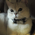 Cat Collars Breakaway with Bell and Bow Tie, Plaid Design Adjustable Safety - Image 6