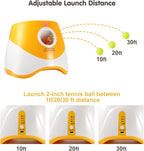 Automatic Dog Ball Launcher, Dog Ball Thrower - Image 4