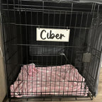Personalized Crate Sign, Custom Dog Decor, Hanging Crate Sign, Personalized Pet - Image 9
